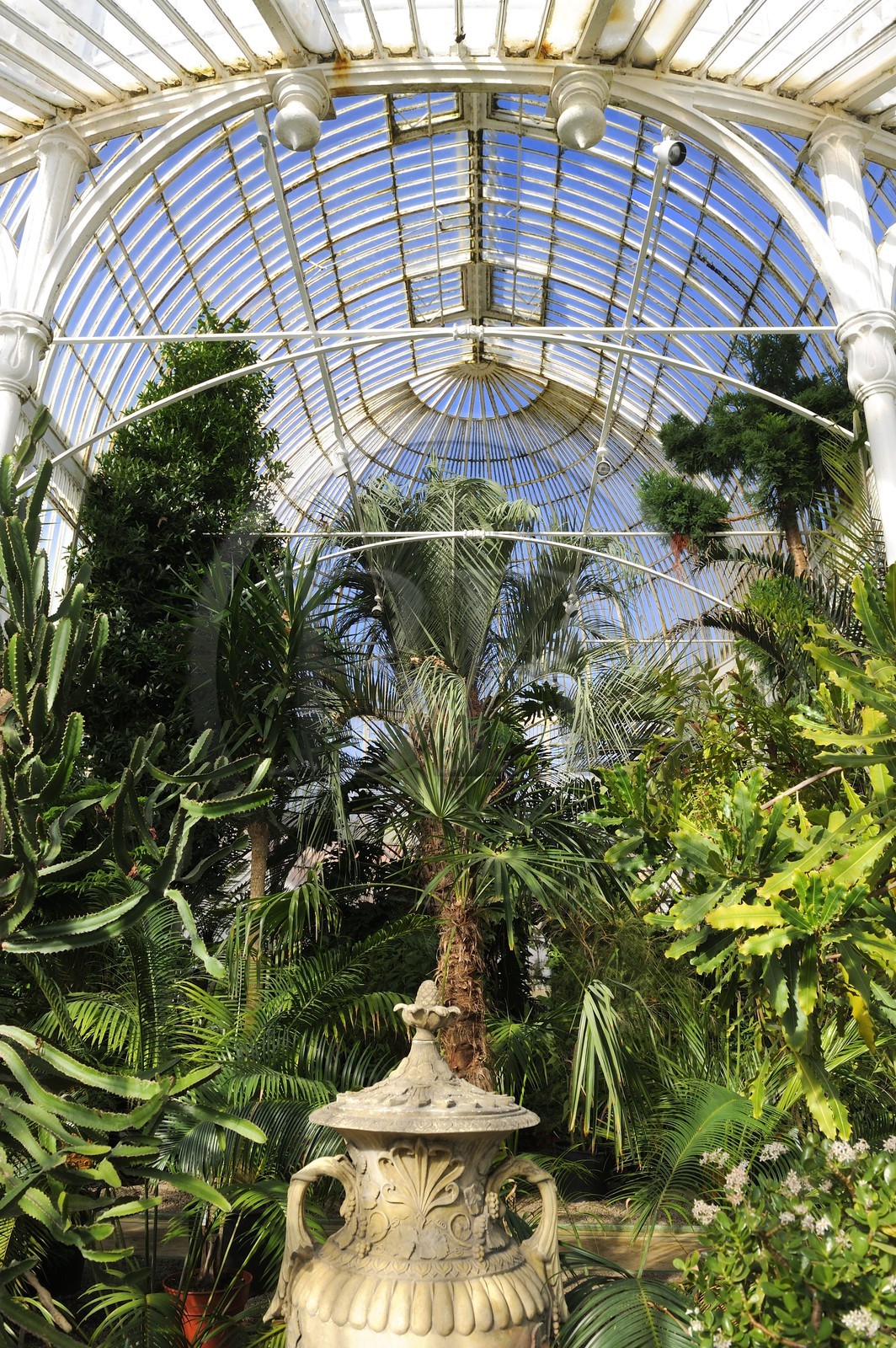 United Kingdom, Northern Ireland, Belfast, the Palm House at the Botanic Gardens