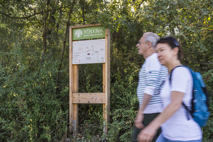 France, Var (83), Provence Verte, Bras, Académie du Bain de Forêt Provençale, forêt du domaine Le Peyrourier - une campagne en Provence