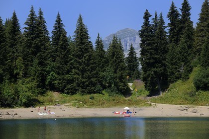Switzerland, Canton of Vaud, Villars sur Ollon, Chavonnes lake