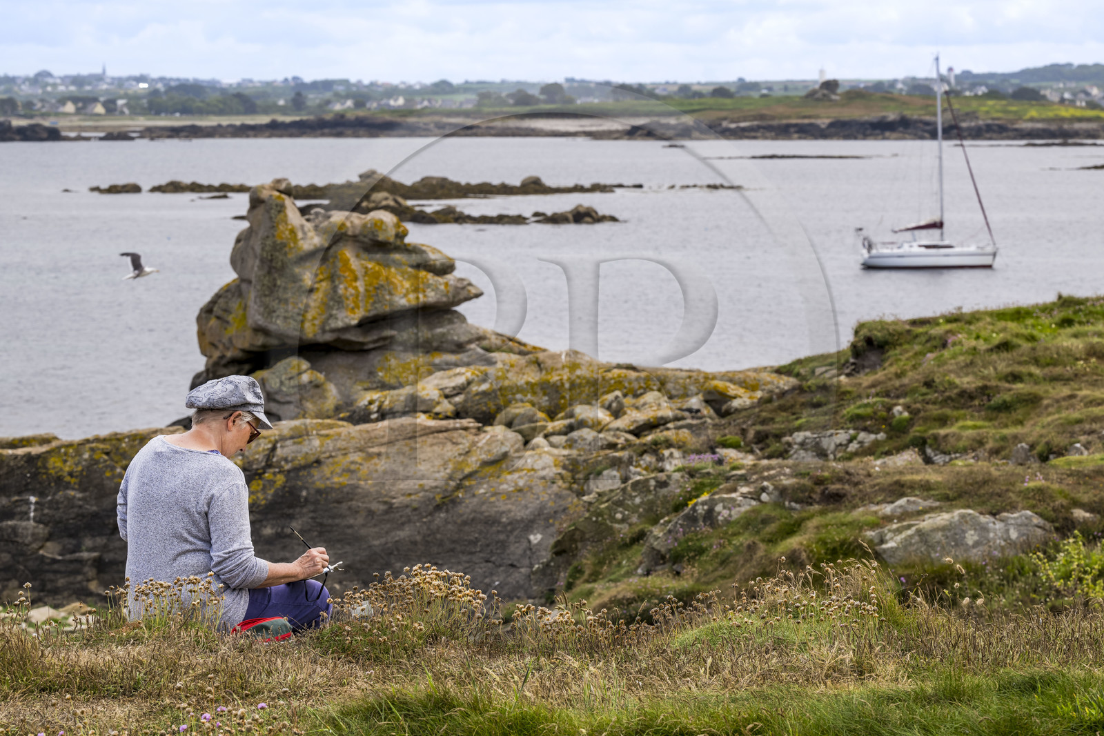 France, Finistère (29), Pays des Abers, Ile Vierge dans l'archipel de Lilia, peintre