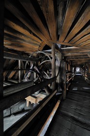 France, Paris (75), île de la Cité, la cathédrale Notre-Dame, la charpente appelée la forêt
