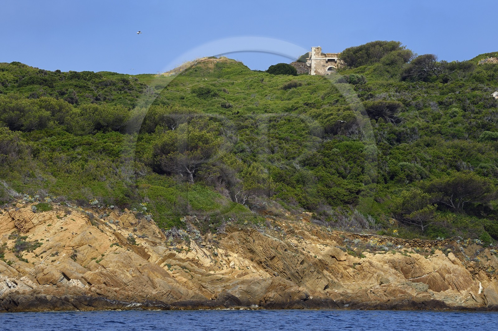 France, Var (83), Iles d'Hyères, parc national de Port Cros, Ile de Port-Cros, fortin sur l'Ile de Bagaud qui est une réserve intégrale