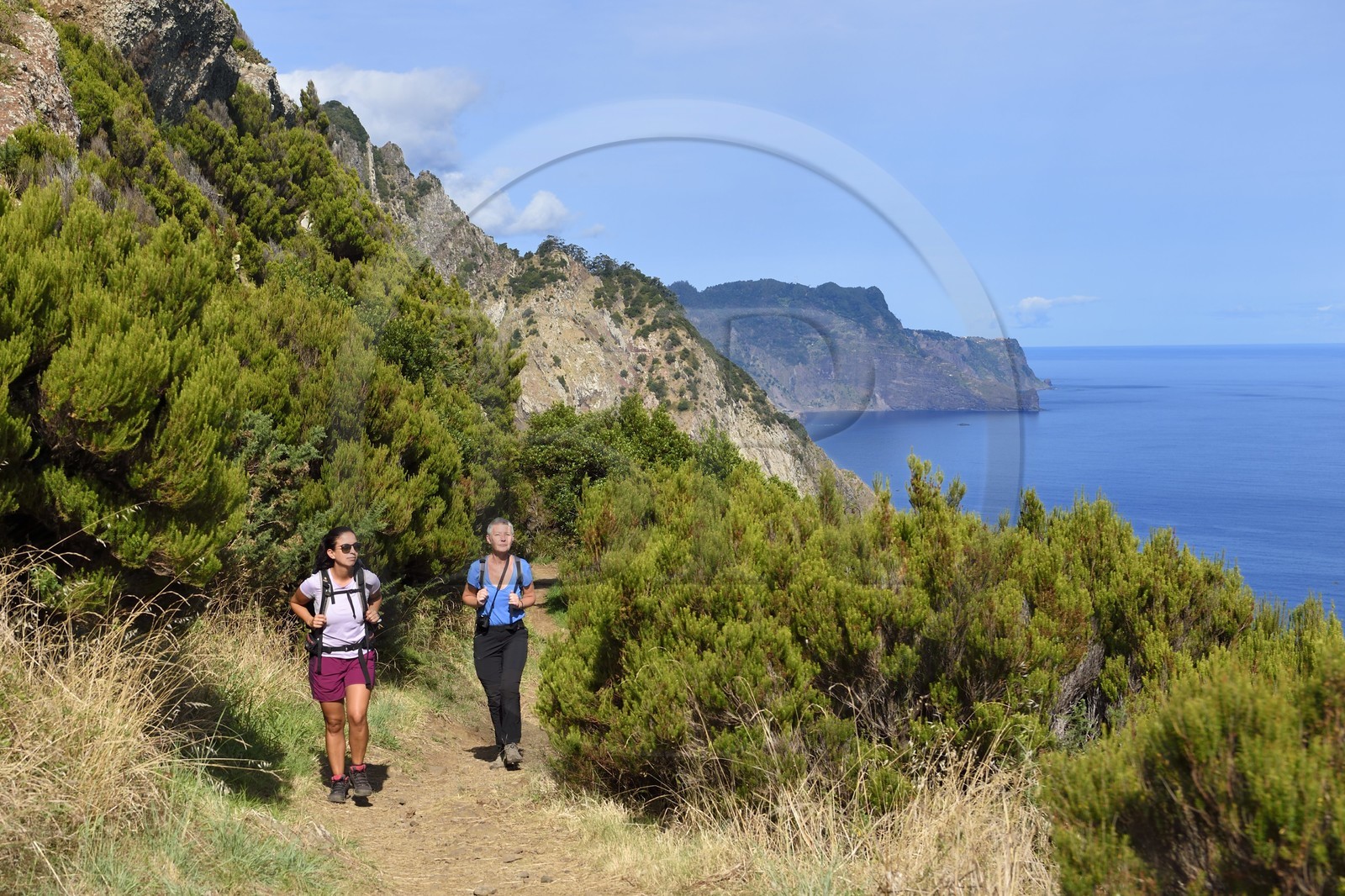 Portugal, Ile de Madère, randonnée de Machico à Porto da Cruz par le Vereda do Larano, au col de Boca do Risco
