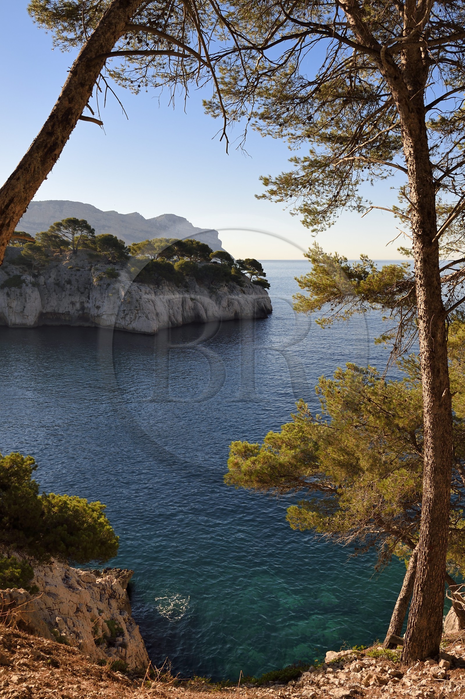 France, Bouches-du-Rhône (13), Cassis, Parc national des Calanques, Calanque de Port-Miou (demande d'autorisation nécessaire avant publication)