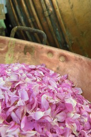 France, Alpes-Maritimes (06), Pont du Loup à Tourrettes-sur-Loup, Confiserie Florian, pétales de roses