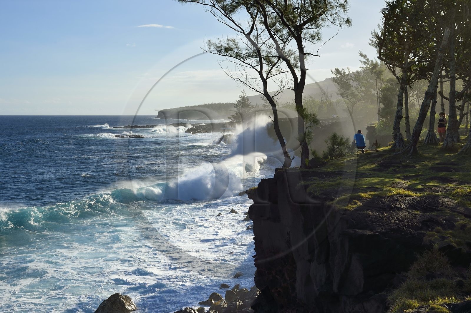 France, Ile de la Reunion, Côte Sud, Sainte-Philippe, la côte sud sauvage au Baril