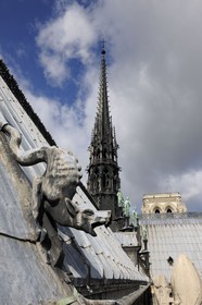 France, Paris (75), île de la Cité, la cathédrale Notre-Dame, gargouille sur le toit