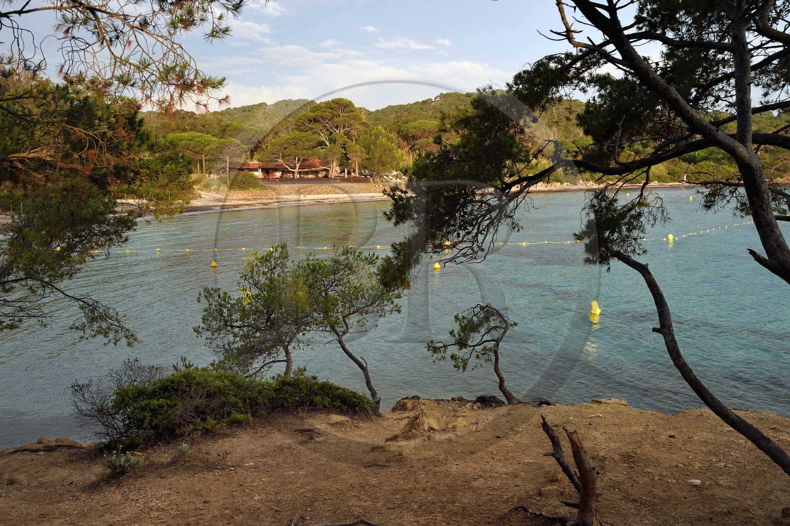 France, Var (83), Iles d'Hyères, parc national de Port Cros, Ile de Porquerolles, Anse du bon Renaud, plage d'Argent