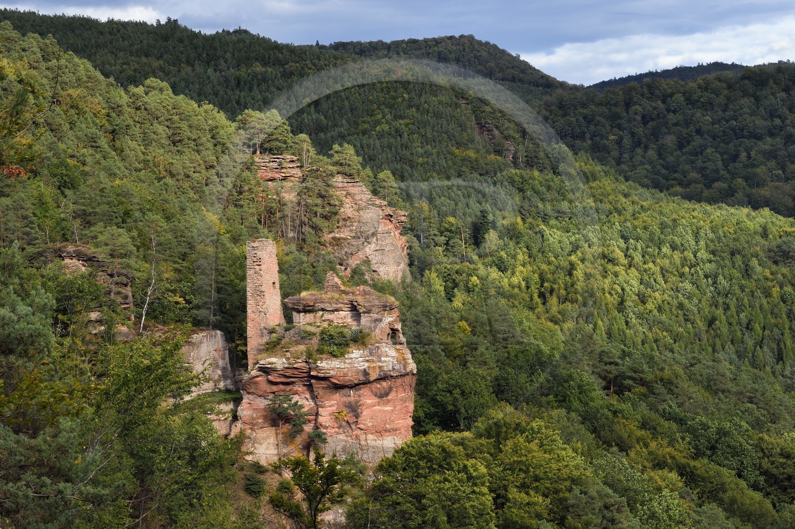 France, Bas Rhin, Northern Vosges Regional Natural Park, Obersteinbach, Steinbach national forest, Klein Arnsberg Castle ruins