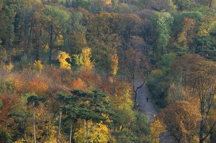France, Paris (75), Bois de Vincennes aux couleurs d'automne