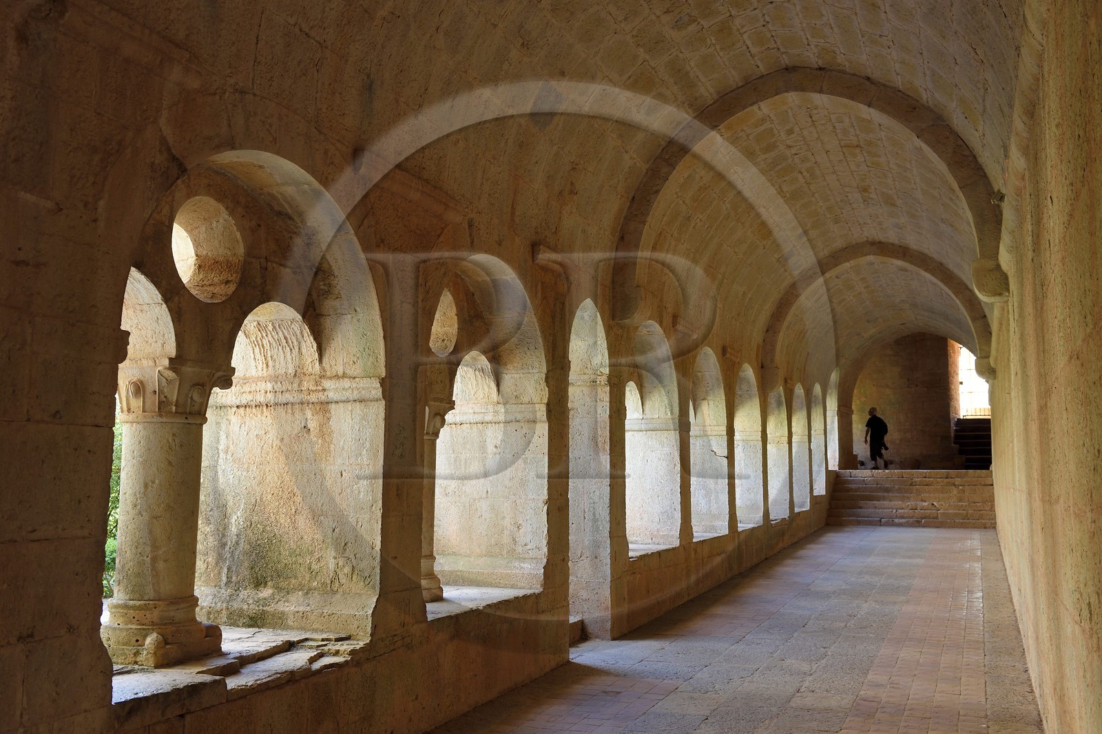 France, Var, the Thoronet cistercian abbey, the cloister