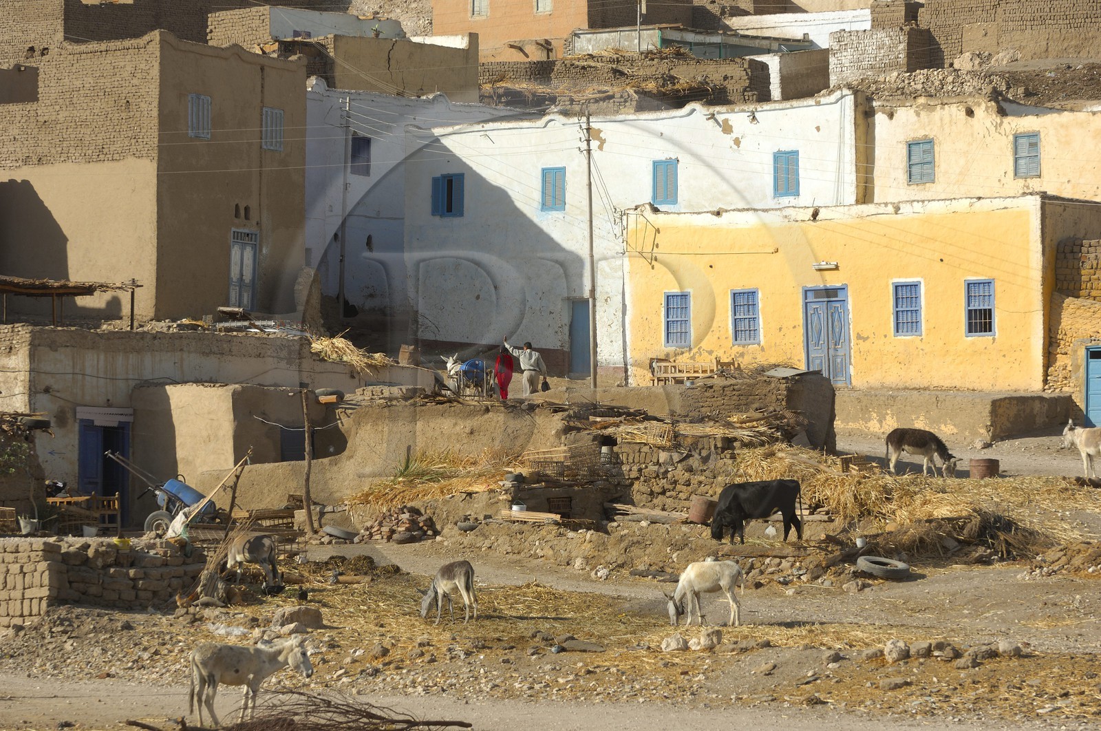 Egypte, Haute Egypte, vallée du Nil, environs de Louxor, Thèbes Ouest, nécropole thébaine, vieux village de Gournah au pied des Tombes des Nobles