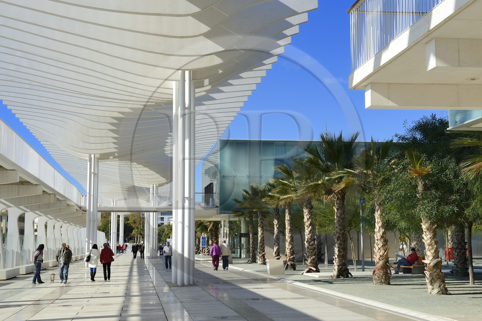 Spain, Andalusia, Malaga, the waterfront on the port, Palmeral de las Sorpresas