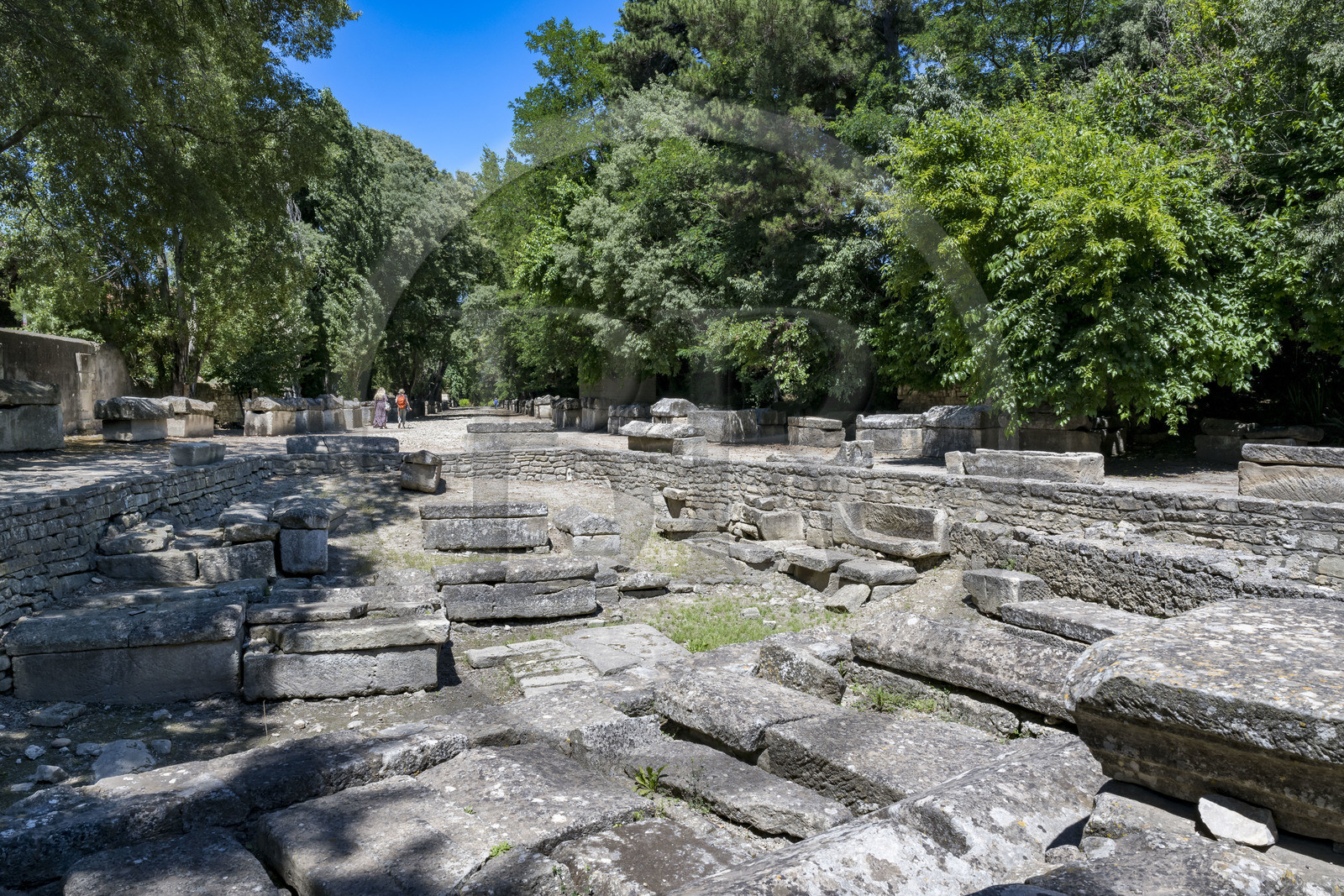 France, Bouches du Rhone, Arles, the Alyscamps, listed as World heritage by UNESCO, a pagan then Christian necropolis from the Roman era to the Middle Ages, comprising numerous sarcophagi