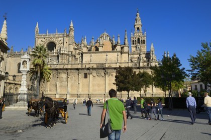 Espagne, Andalousie, Séville, quartier de Santa Cruz, la Giralda, ancien minaret almohade de la Grande Mosquée reconverti en clocher de la cathédrale, classé Patrimoine Mondial de l'UNESCO