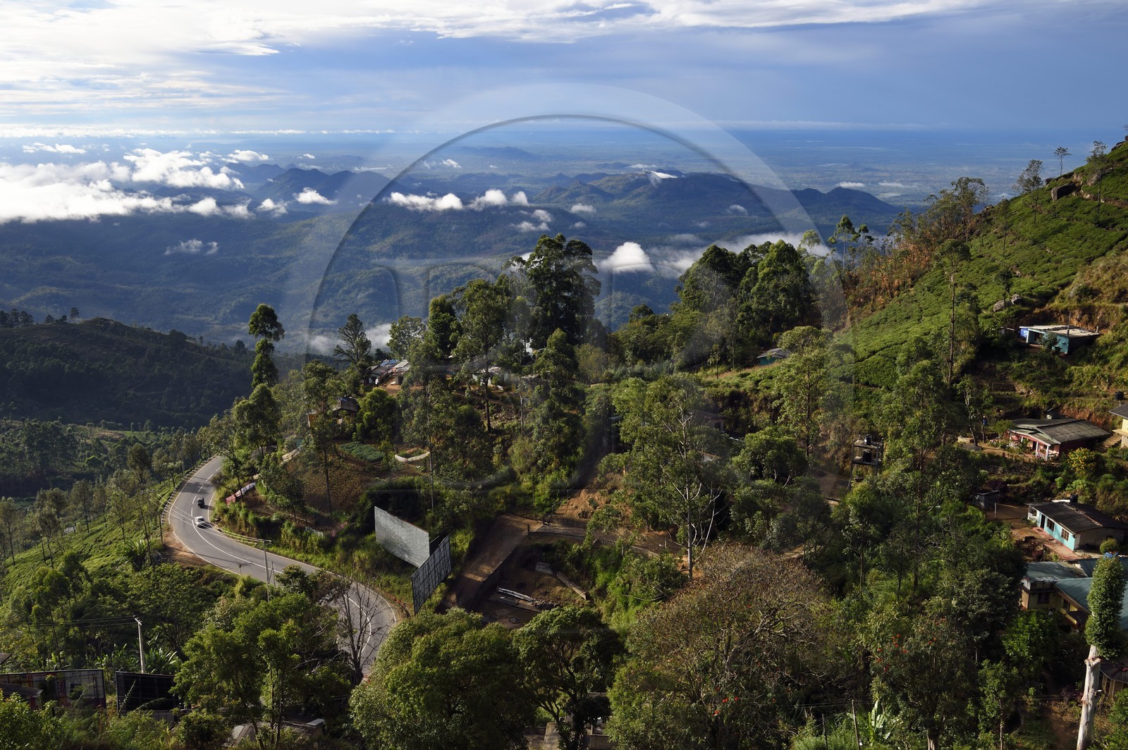 Sri Lanka, Province d'Uva, Haputale, plantation de thé et les collinnes au sud