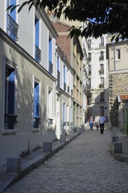 France, Paris (75), passage des Soupirs à Menilmontant