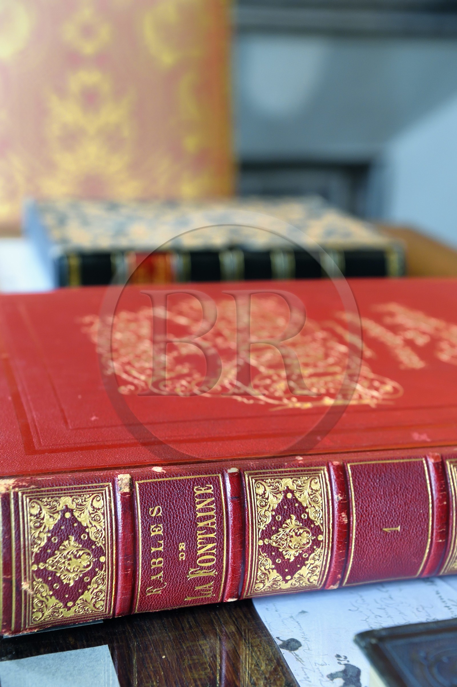 France, Aisne, Château-Thierry, Jean de La Fontaine Museum - city of Chateau-Thierry,  La Fontaine's Fables book, L. Hachette et Cie, illustrated edition (1867, in-folio) by the designer and engraver Gustave Doré