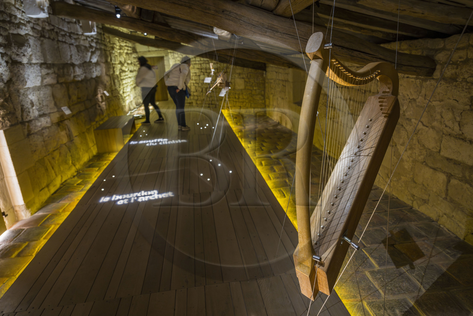 France, Vendée (85), Nieul-sur-l'Autise, Abbaye royale Saint-Vincent, salle des instruments anciens, harpe