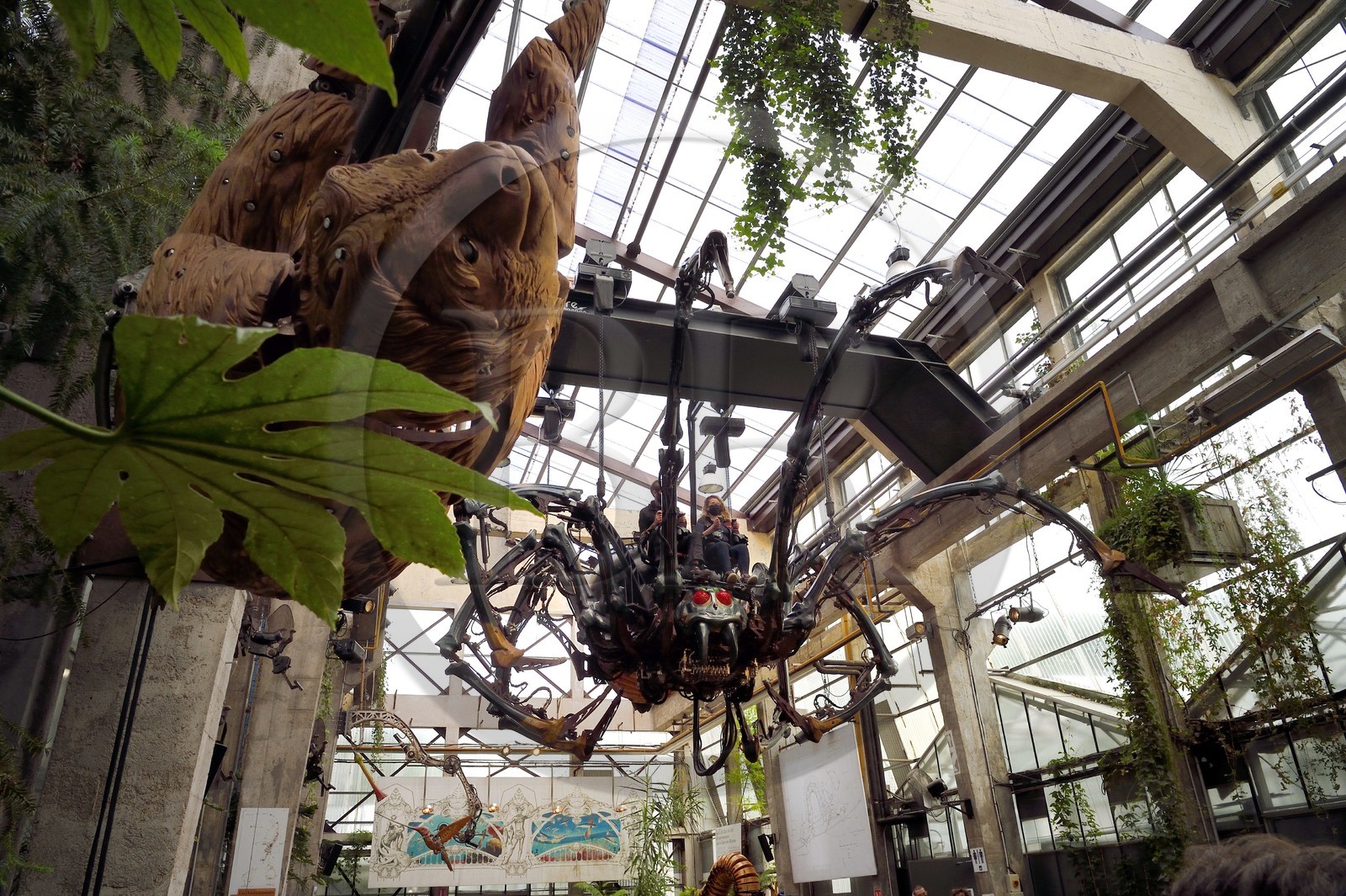 France, Loire-Atlantique, Nantes, gallery of the Machines de l'Ile in the hangars of former shipyards, an artistic project created by François Delaroziere and Pierre Orefice, a Mechanical Spider crawls from the ground to a high branch and the Sloth