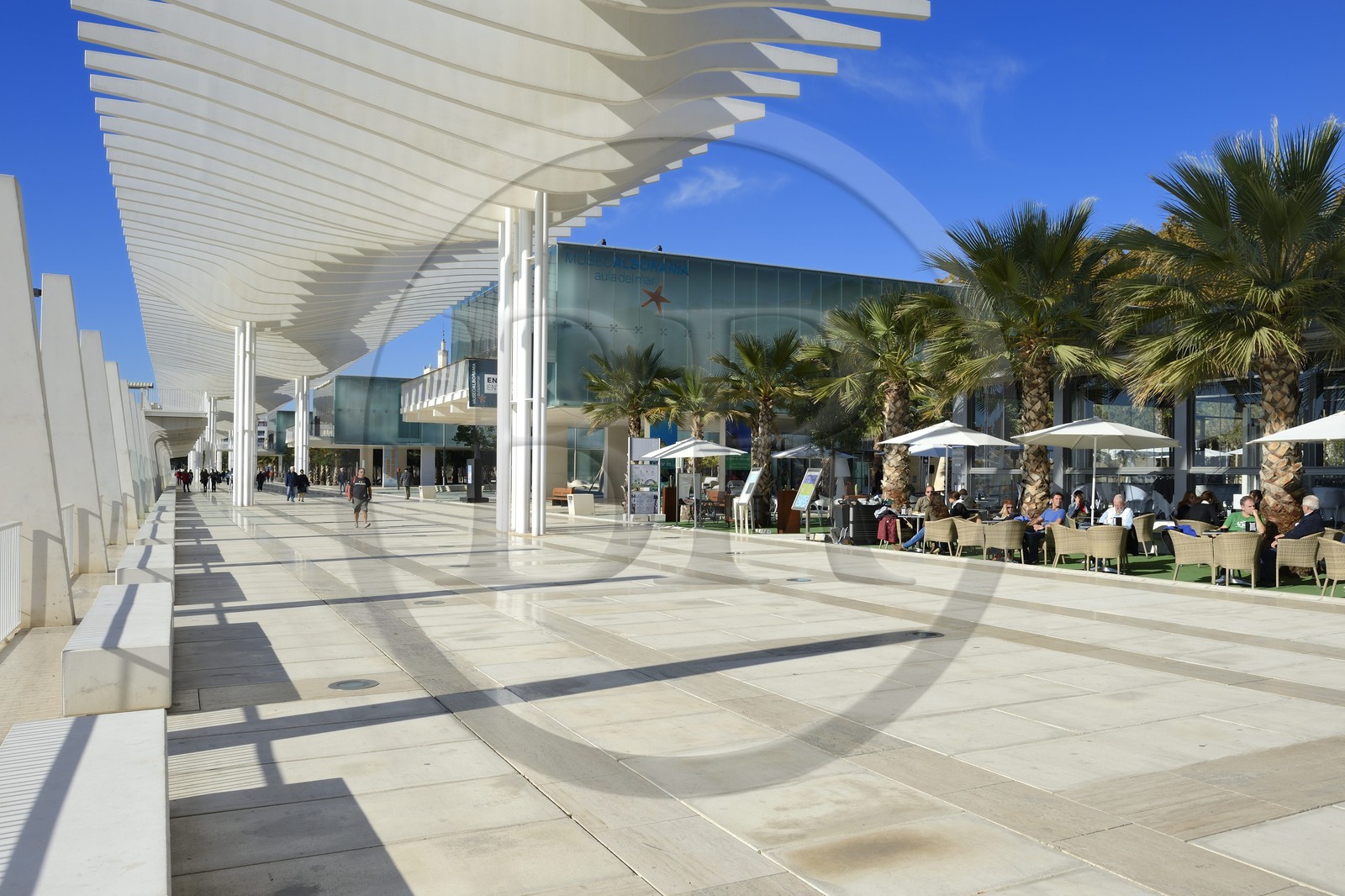 Spain, Andalusia, Malaga, the waterfront on the port, Palmeral de las Sorpresas