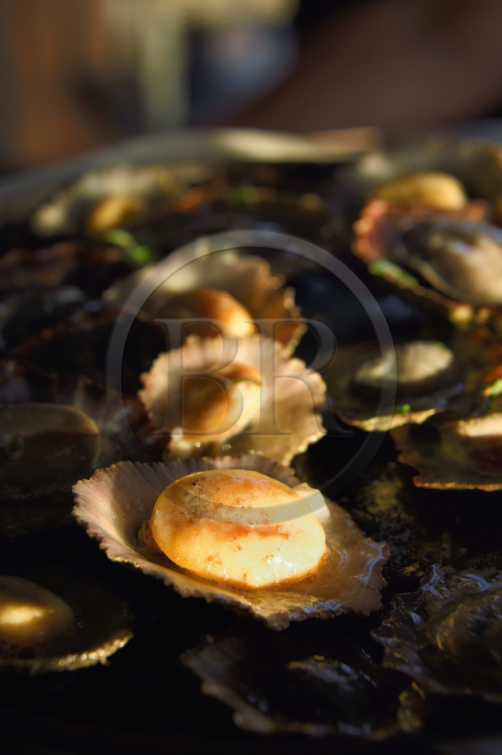 Portugal, Madeira Island, the fishing village of Camara de Lobos, fried shellfish called limpets (Patella vulgata Linnaeus) cooked in butter and garlic
