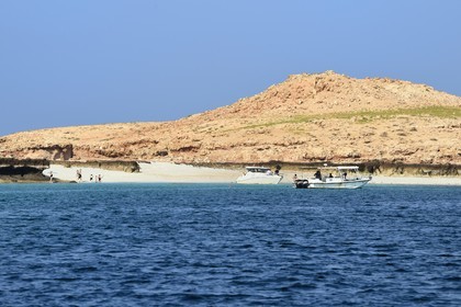 Sultanat d'Oman, gouvernorat de Mascate, réserve naturelle des Iles Daymaniyat, plage