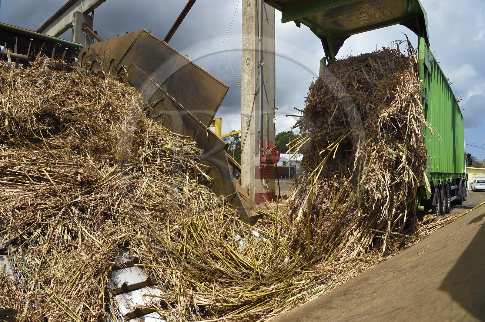 France, Ile de la Reunion, Saint-Louis, l'usine sucrière du Gol, déchargements de la canne à sucre des cachalots (camions ou remorques)