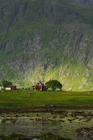 Norvège, Nordland, Iles Lofoten, Ile de Flakstad, petite ferme