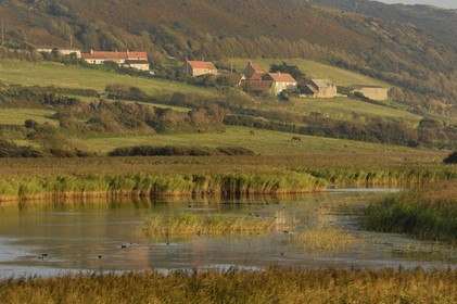 France, Manche (50), Cap de la Hague, dunes de l'anse de Vauville, la mare de Vauville