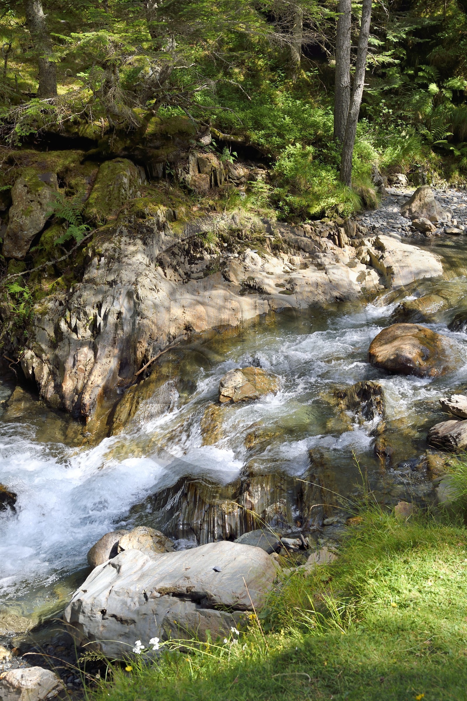 France, Hautes Pyrenees, Saint Lary Soulan, Rioumajou valley, the river Neste de Rioumajou