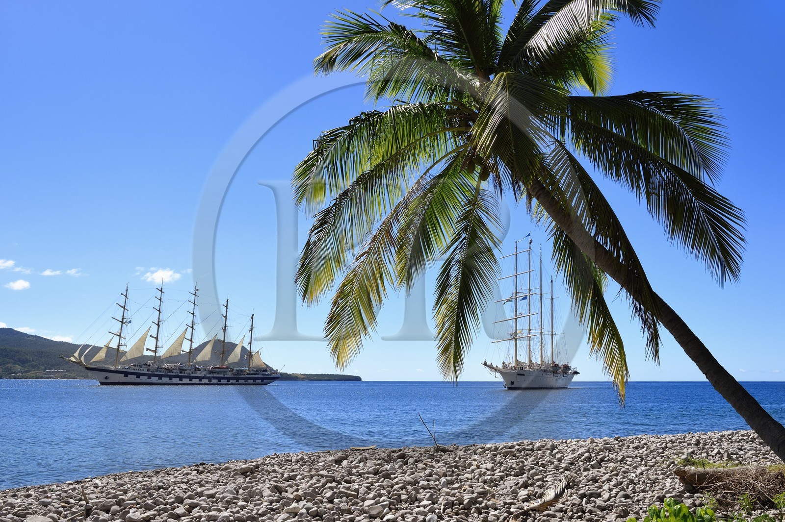 Caraïbes, Ile de la Dominique, Portsmouth, le Royal Clipper et le Star Flyer de la compagnie Star Clipper dans la baie de Prince Rupert
