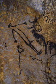 France, Dordogne (24), Montignac, chantier du futur Centre International de l'Art pariétal de Montignac-Lascaux (Lascaux 4), espace pédagogique reprenant des panneaux de la grotte réalisés par l’Atelier des Fac-Similés du Périgord (AFSP), peinture de la figure anthropomorphe d'un homme ithyphallique à tête d'oiseau dans la reproduction du puit de la grotte