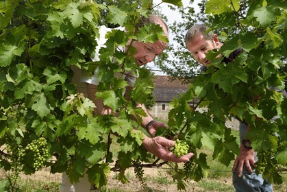 France, Dordogne (24), Creysse vers Bergerac, vignoble de Pécharmant, chateau de Tiregand, Francois-Xavier de Saint-Exupéry proprétaire et viticulteur dans ses vignes