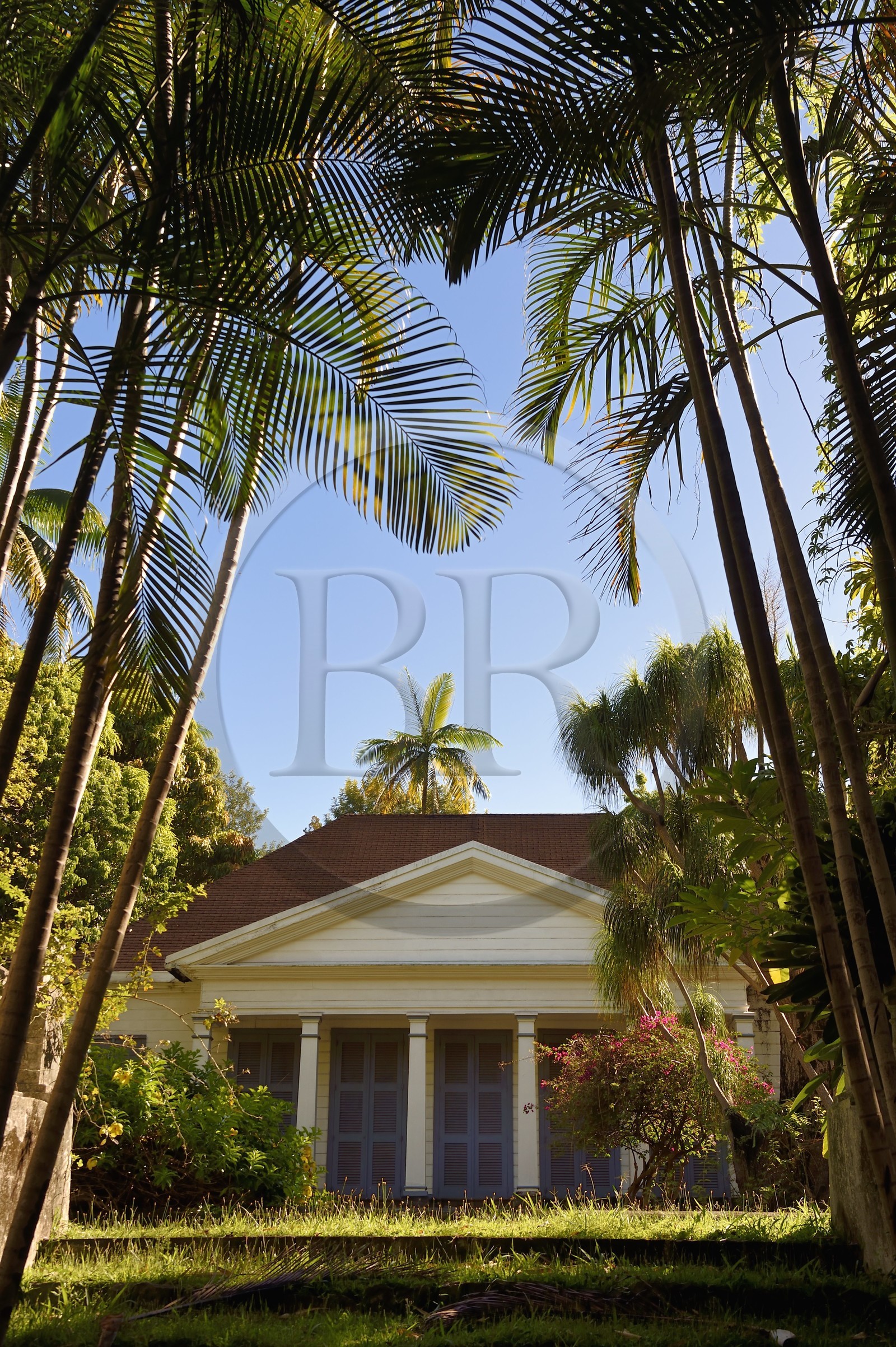 France, Ile de la Reunion, Bérive les Hauts, en arrière d'une allée de palmiste multipliant (Dypsis lutescens) la case historique du domaine Isautier Bérive dans les hauts de Saint-Pierre