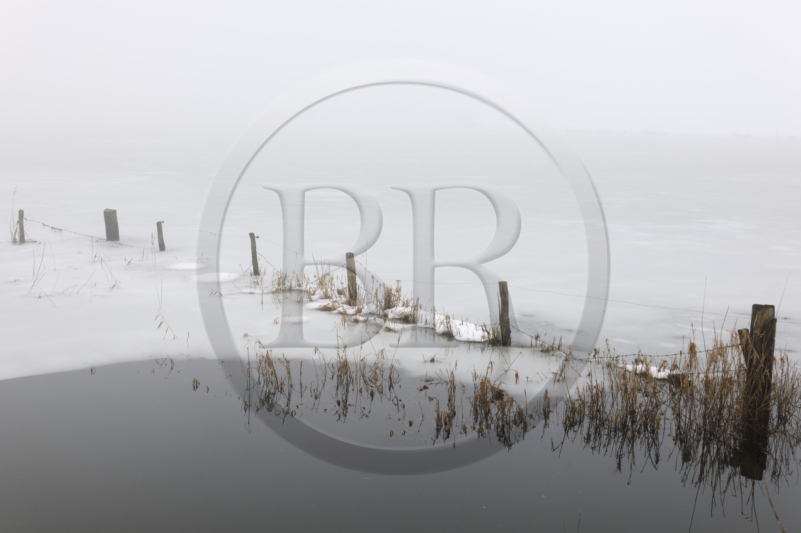 France, Manche (50), Cotentin, marais de la Douve vers Liesville-sur-Douve