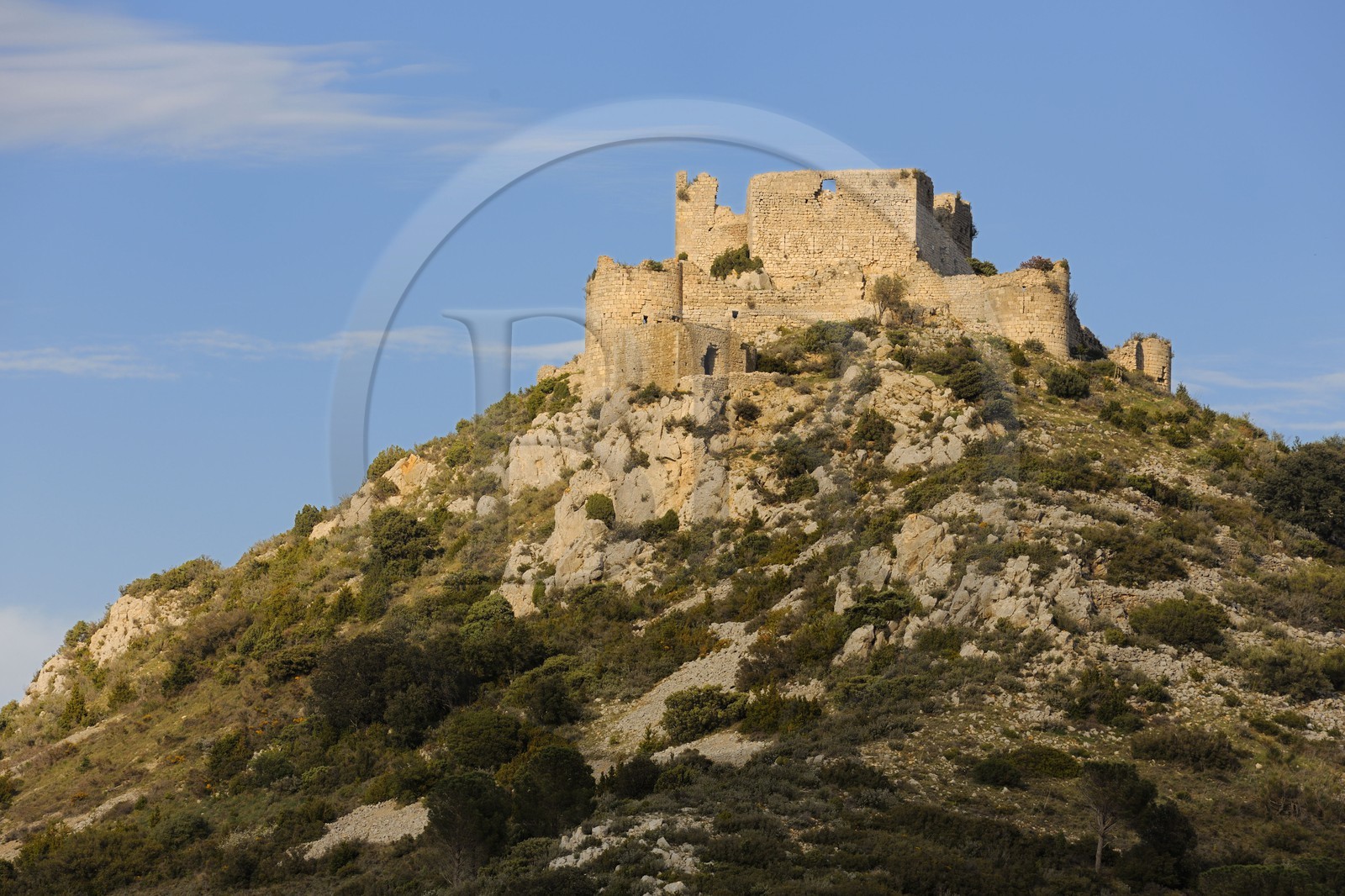 France, Aude, Cathar castle of Aguillar ruins in the heart of Corbieres ..