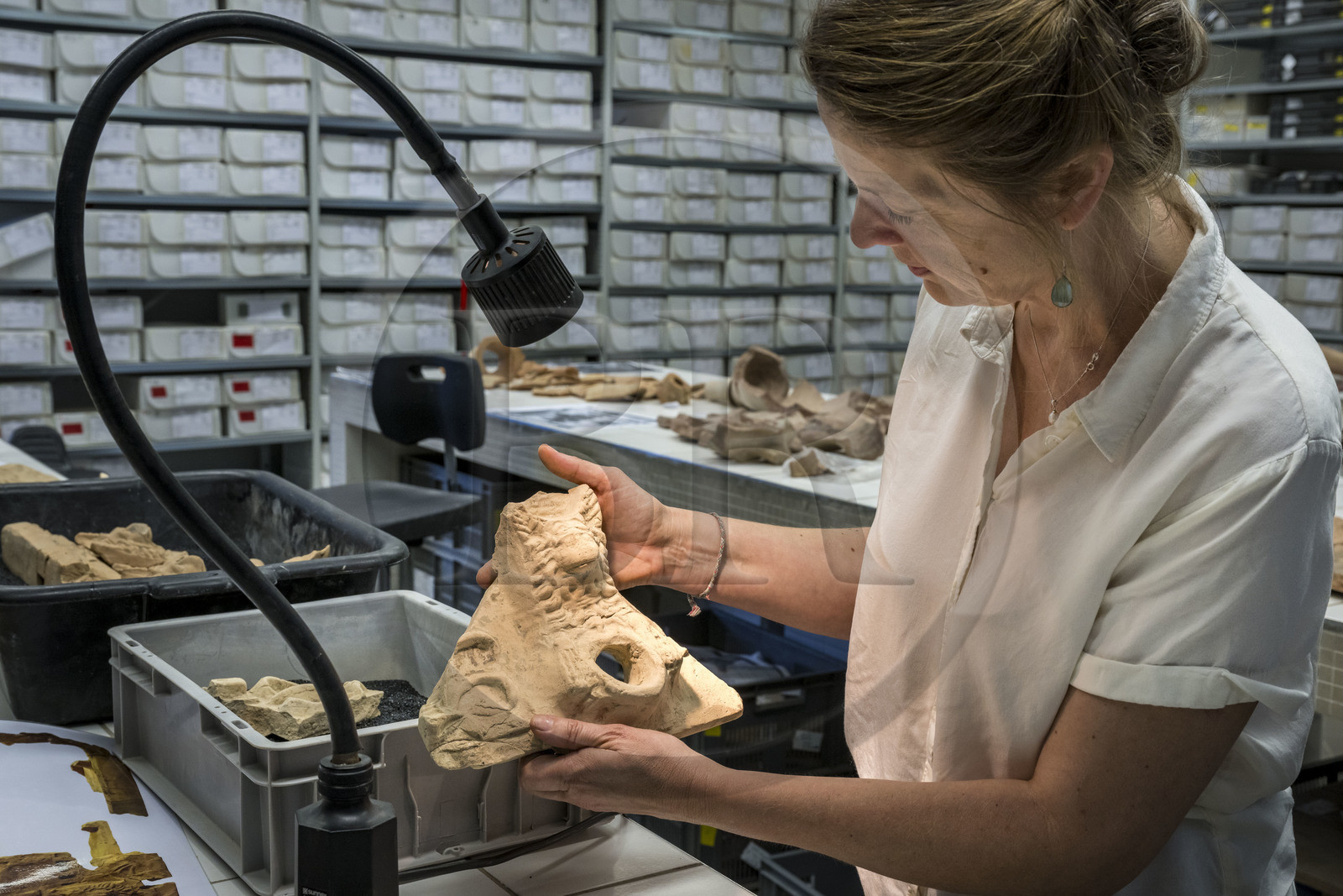 France, Bouches-du-Rhône (13), Arles, musée départemental Arles antique, salle d’étude du service archéologie, recherches des fouilles du site de l'ancienne verrerie de Trinquetaille sur la rive droite du Rhone, maison de la harpiste (entre 70 et 50 av. J.-C.), figure de chien protecteur en tuile et gargouilles de la toiture de l'atrium, l'archéologue Marie-Pierre Rothé
