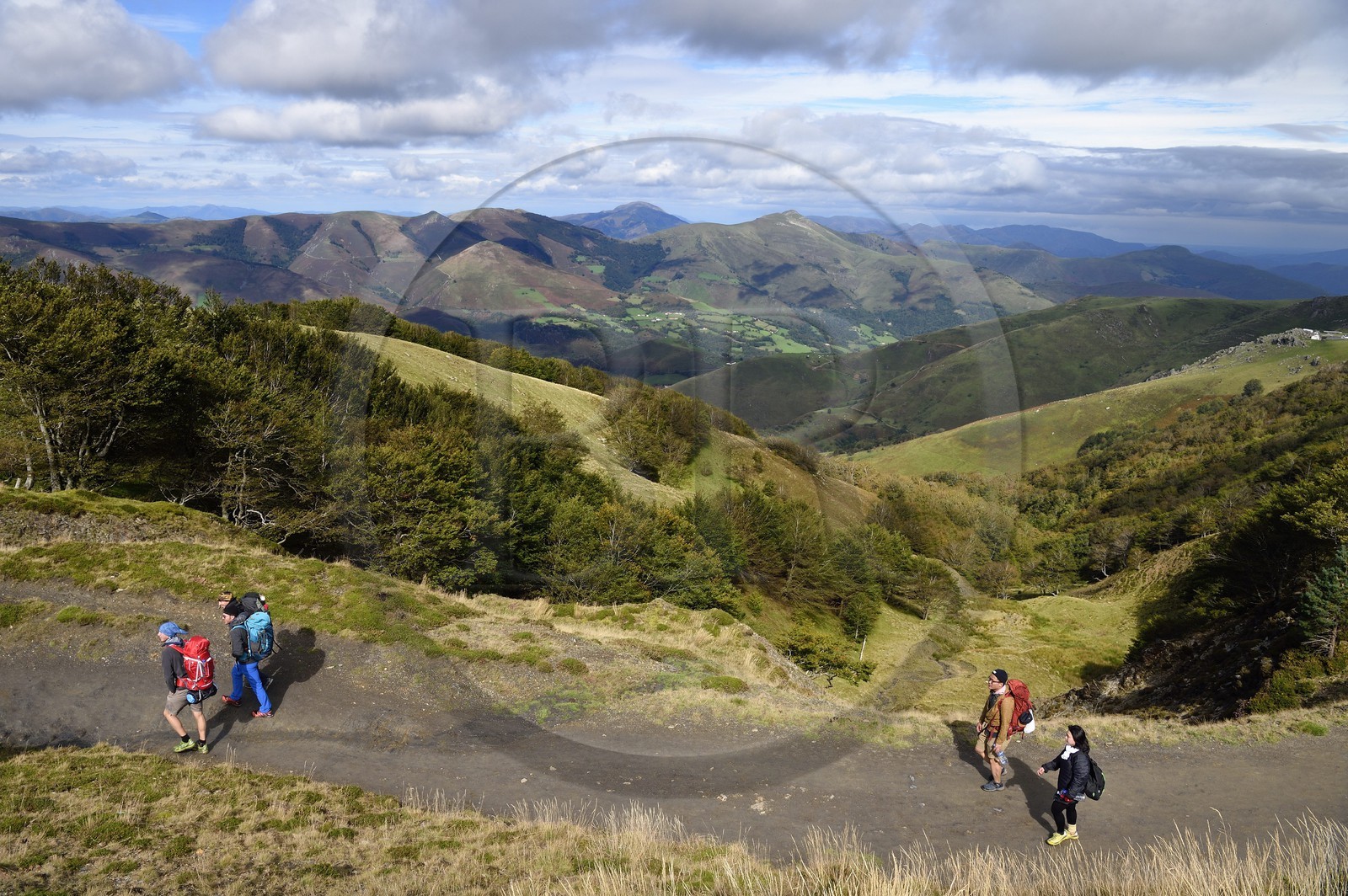 France, Pyrenees Atlantiques, Basque Country, Camino de Santiago (the Way of St. James) on the GR 65 between Saint Jean Pied de Port and Roncesvalles, pilgrims on the slopes of the Leizar Atheka and the Valley of Luzaide in Navarre in the background