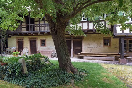 France, Bas Rhin, Nordheim, bed and breakfast Unter der Linde, traditional farmyard