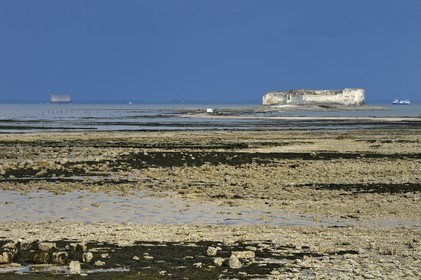 France, Charente-Maritime (17), Fouras, la Pointe de la Fumée à marée basse, le Fort Enet et le Fort Boyard en arrière plan