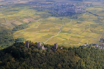 France, Haut Rhin, the three donjons of Eguisheim in the massif des Vosges and the village surrounded by vineyards (aerial view)