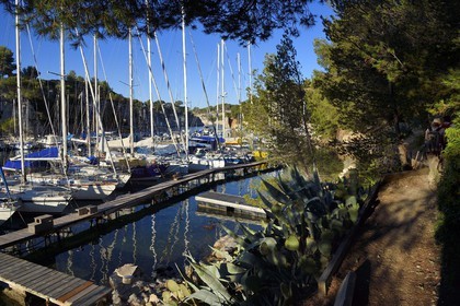 France, Bouches-du-Rhône (13), Cassis, Parc national des Calanques, Calanque de Port-Miou, la marina (demande d'autorisation nécessaire avant publication)