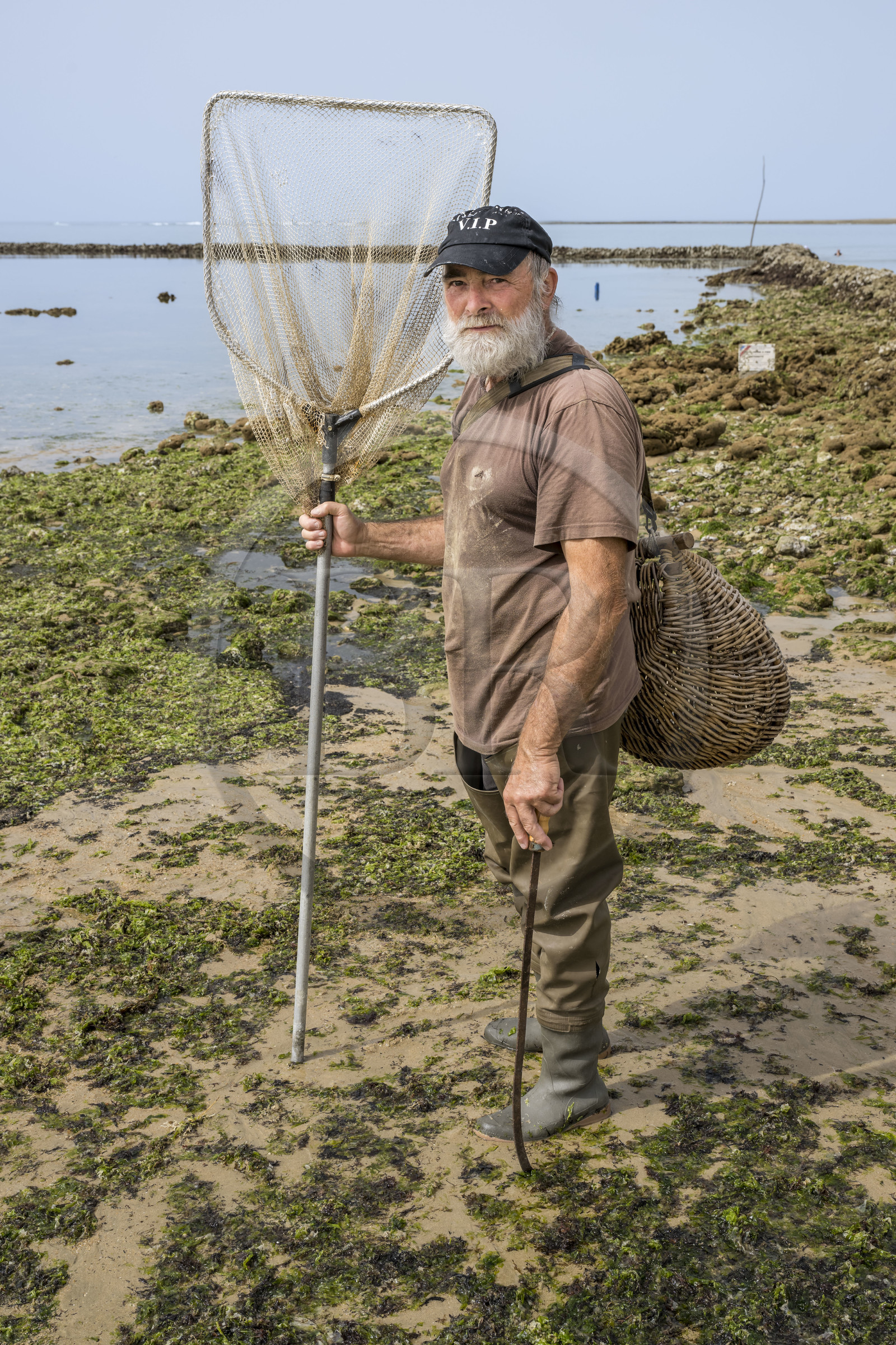 France, Charente-Maritime (17), Ile d'Oléron, Saint-Georges-d'Oléron, plage des Sables Vignier à marée basse, concessionnaire mareyant de l'écluse à poissons des Basses
