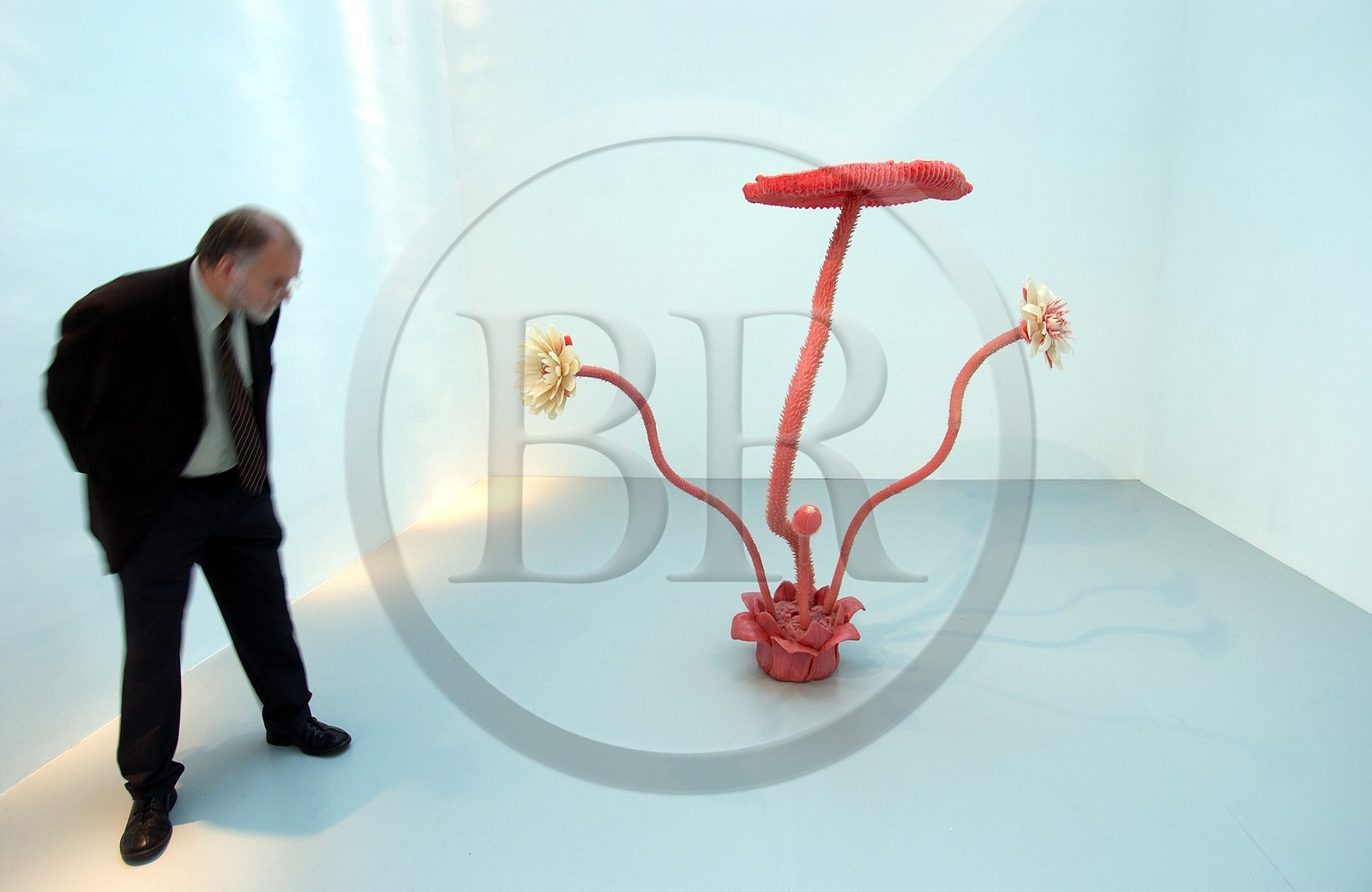 France, Nord (59), Lille 2004, exposition Flower Power au palais des Beaux Arts