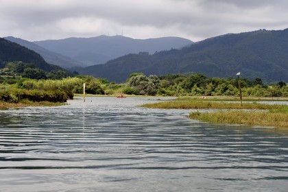 Espagne, Pays basque espagnol, Biscaye, région de Gernika-Lumo, Réserve de biosphère d'Urdaibai, remontée en kayak de l'estuaire du fleuve Oka
