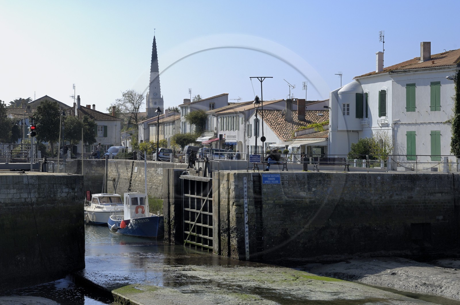 France, Charente-Maritime (17), ile de Ré, le port d' Ars-en-Ré
