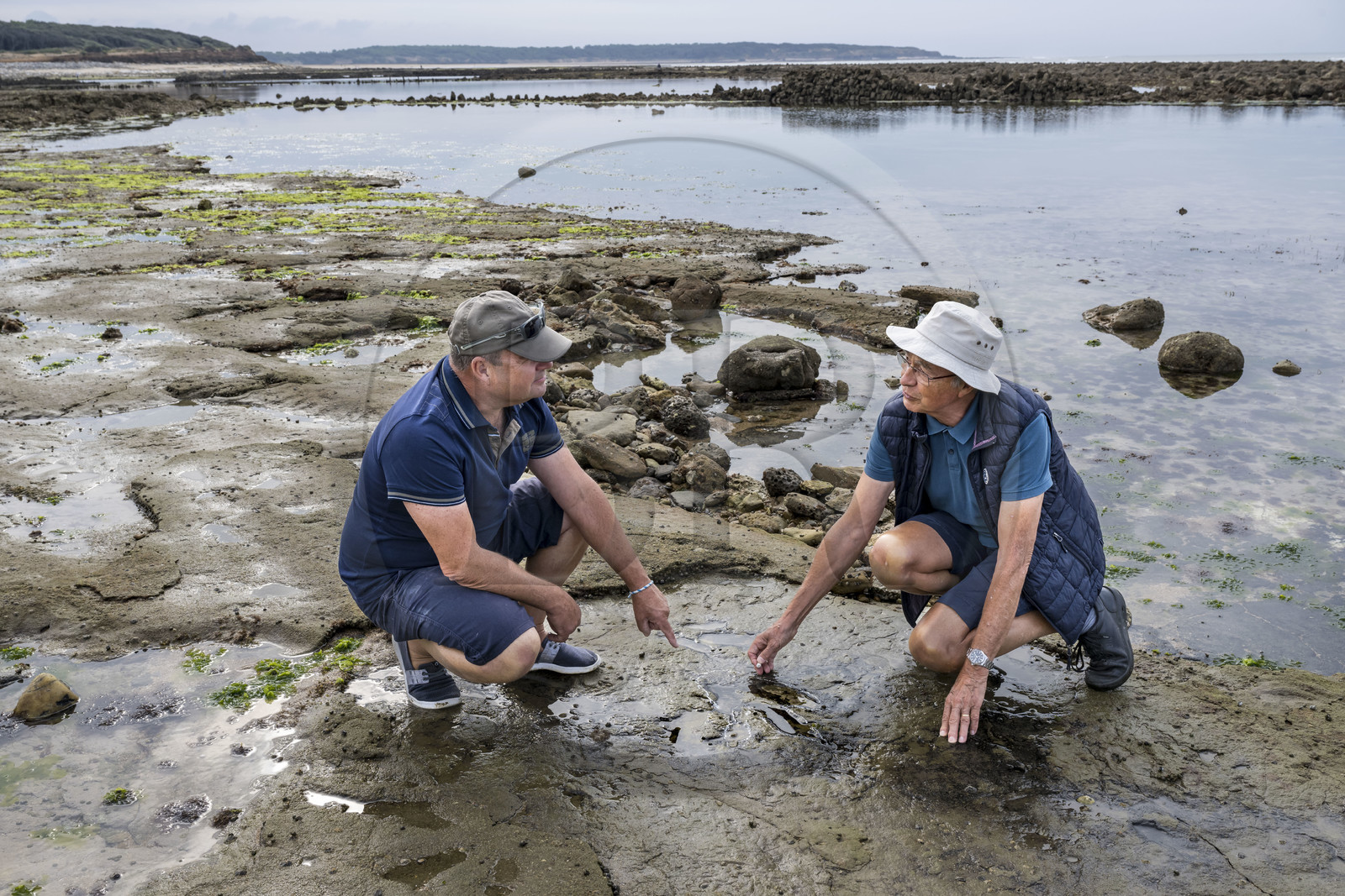 France, Vendée (85), Talmont-Saint-Hilaire, la Pointe du Payré, estran du site du Veillon à marée basse, Didier Neault à gauche et Jack Guichard à droite marquent à la craie les traces fossiles tridactyles de dinosaures bipèdes datées d'environ 200 millions d’années