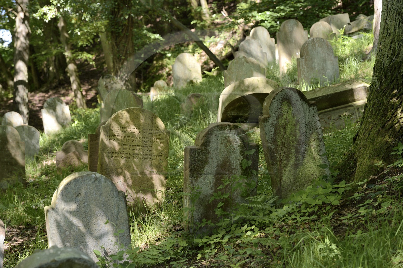 France, Bas Rhin, Saverne, Old Jewish Cemetery