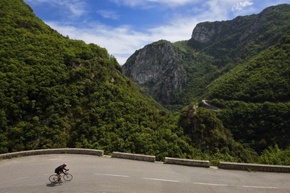 France, Alpes-Maritimes (06), parc national du Mercantour, la route du Moulinet dans la vallée de la Bévéra